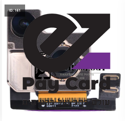 13 רגיל אחורי